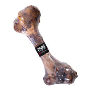 Rahue Fémur Gigante de Vacuno